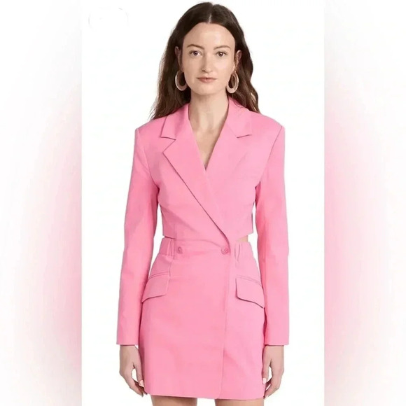 Jonathan Simkhai Kylo Cut Out Tech Blazer Mini Dress Size 6 NWT Taffy Pink - Picture 3 of 16